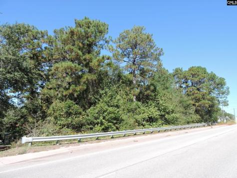 1250 South Lake Drive Lexington SC 29073