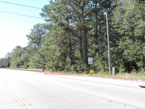 1250 South Lake Drive Lexington SC 29073