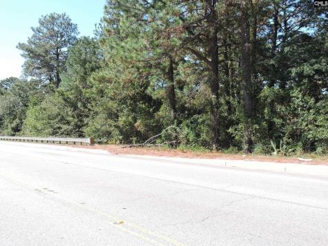 1250 South Lake Drive Lexington SC 29073