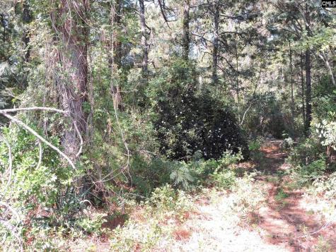 1250 South Lake Drive Lexington SC 29073