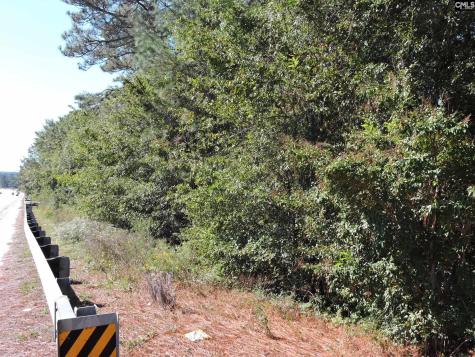 1250 South Lake Drive Lexington SC 29073