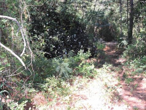 1250 South Lake Drive Lexington SC 29073