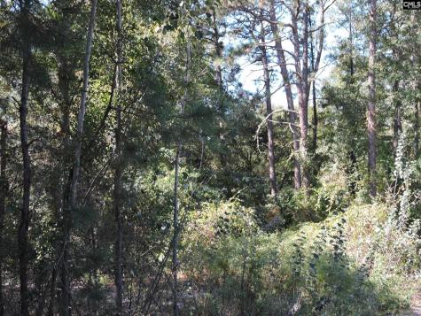 1250 South Lake Drive Lexington SC 29073