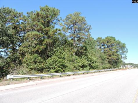 1250 South Lake Drive Lexington SC 29073