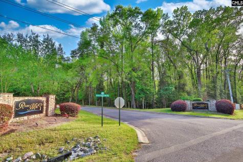 017 River Mill Way Gaston SC 29053