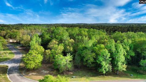 017 River Mill Way Gaston SC 29053