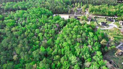 017 River Mill Way Gaston SC 29053