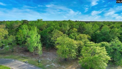 017 River Mill Way Gaston SC 29053