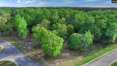 017 River Mill Way Gaston SC 29053