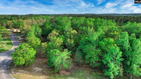 017 River Mill Way Gaston SC 29053