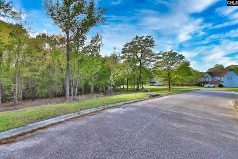 017 River Mill Way Gaston SC 29053