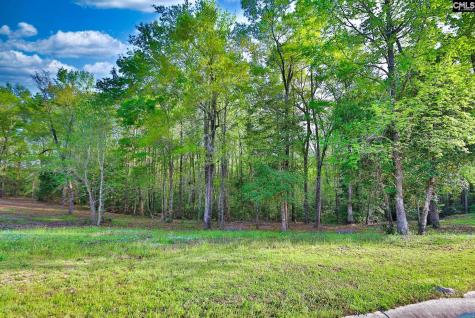 017 River Mill Way Gaston SC 29053