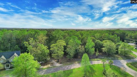 017 River Mill Way Gaston SC 29053