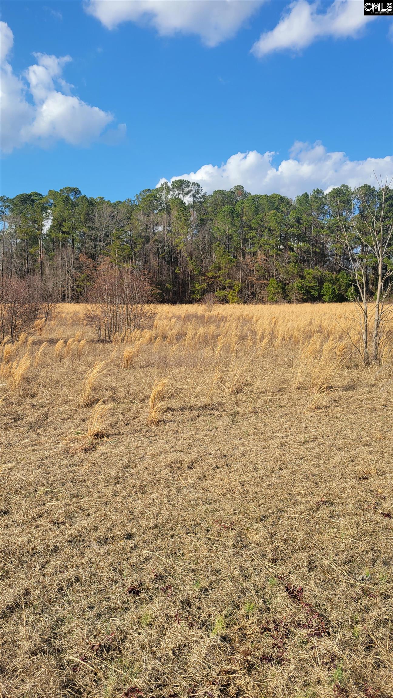 0 Old Sandy Run Road Gaston SC 29053