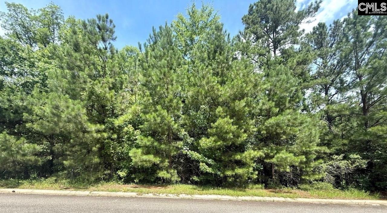 1016 Lyndon Drive Lancaster SC 29720