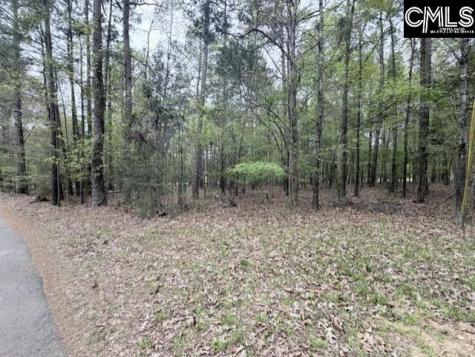 0 Kennerly Road Irmo SC 29063