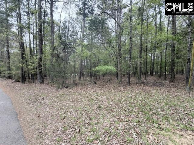 0 Kennerly Road Irmo SC 29063