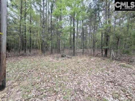 0 Kennerly Road Irmo SC 29063