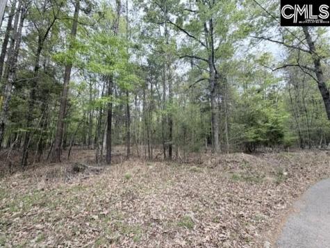 0 Kennerly Road Irmo SC 29063