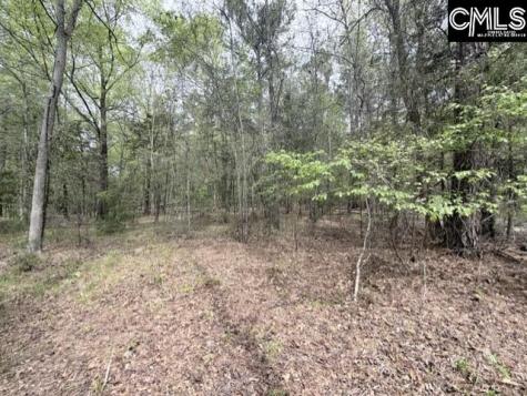 0 Kennerly Road Irmo SC 29063