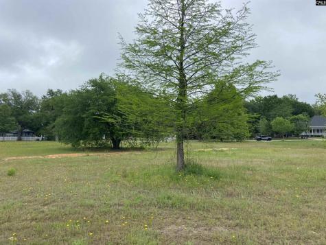 1313 Fair Street Camden SC 29020-0000