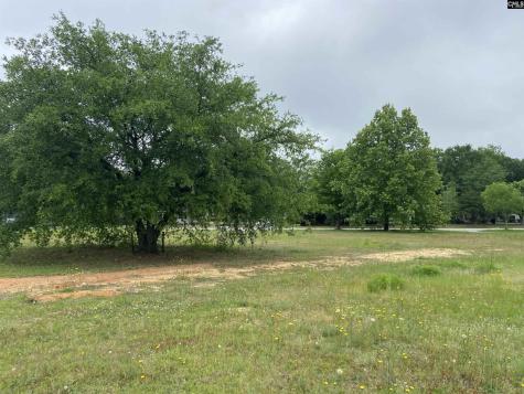 1313 Fair Street Camden SC 29020-0000