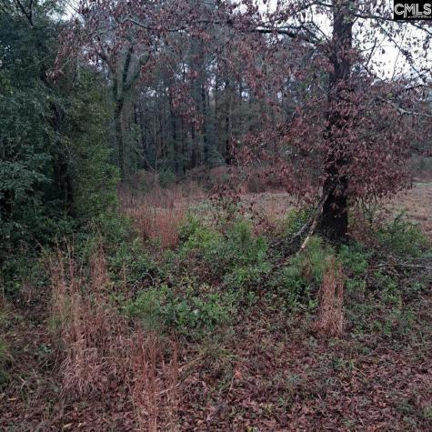 0 Popular Street Lot 1 Cayce SC 29033