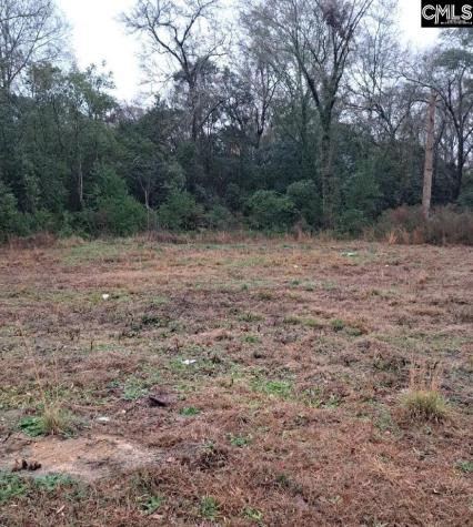 0 Popular Street Lot 1 Cayce SC 29033