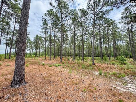 0 Neely Wingard Road Lot 2 Gilbert SC 29054