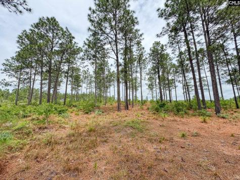 0 Neely Wingard Road Lot 2 Gilbert SC 29054