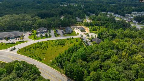 118 Barton Creek Court Columbia SC 29229