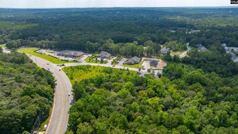 118 Barton Creek Court Columbia SC 29229