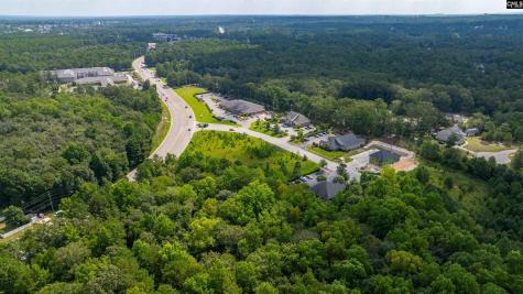 118 Barton Creek Court Columbia SC 29229