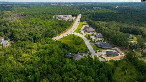 118 Barton Creek Court Columbia SC 29229