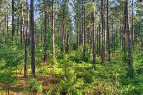 0000 N Brewington Road 10 Manning SC 29102
