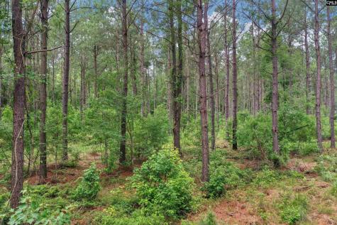 0000 N Brewington Road 10 Manning SC 29102