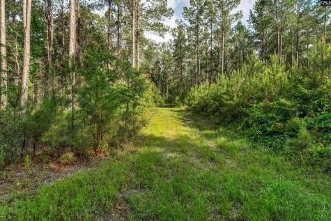 0000 N Brewington Road 10 Manning SC 29102