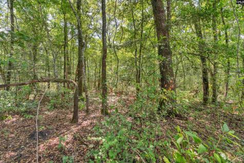 0000 N Brewington Road 10 Manning SC 29102