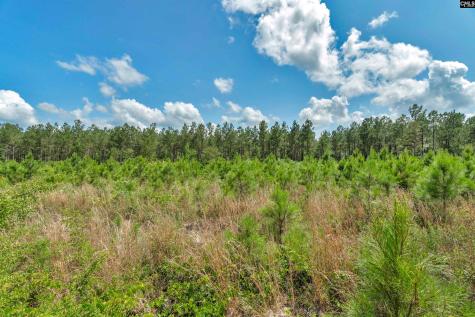 0000 N Brewington Road 10 Manning SC 29102