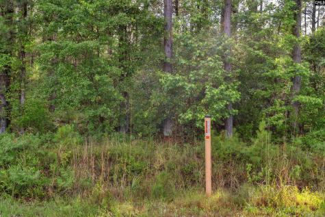 0000 N Brewington Road 10 Manning SC 29102