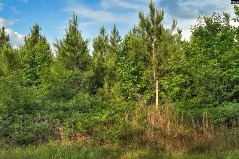 0000 N Brewington Road 10 Manning SC 29102