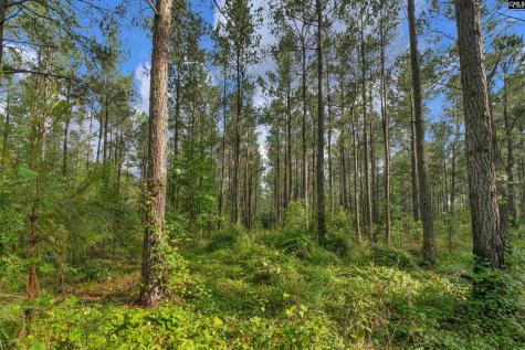0000 N Brewington Road 10 Manning SC 29102