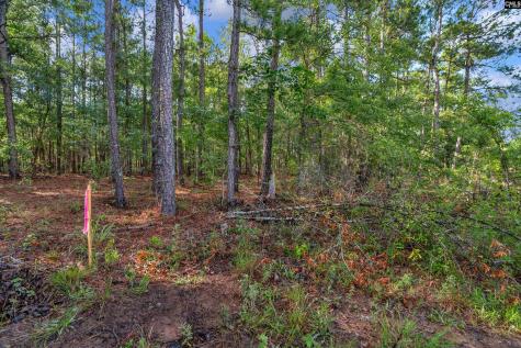 0000 N Brewington Road 10 Manning SC 29102
