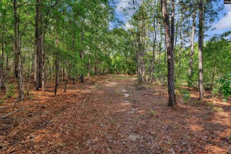 0000 N Brewington Road 10 Manning SC 29102