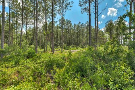 0000 N Brewington Road 10 Manning SC 29102