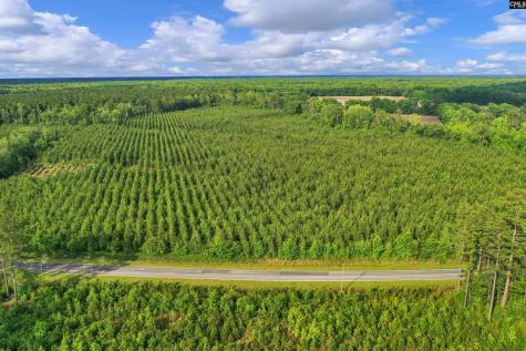 0000 N Brewington Road 10 Manning SC 29102