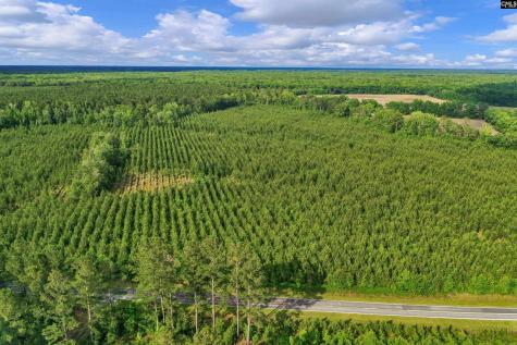 0000 N Brewington Road 10 Manning SC 29102
