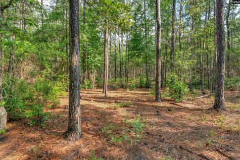 0000 N Brewington Road 10 Manning SC 29102