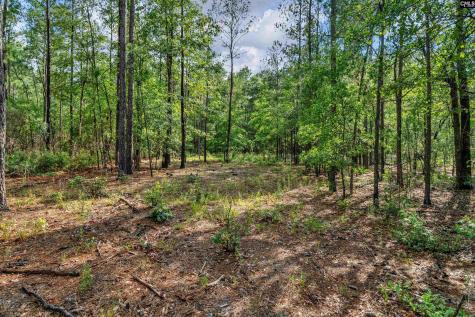 0000 N Brewington Road 10 Manning SC 29102