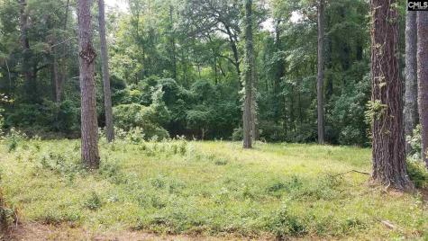 2441 N Lake Drive Columbia SC 29212